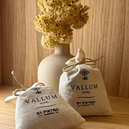 Hotel Vallum By St Pietro Cavtat